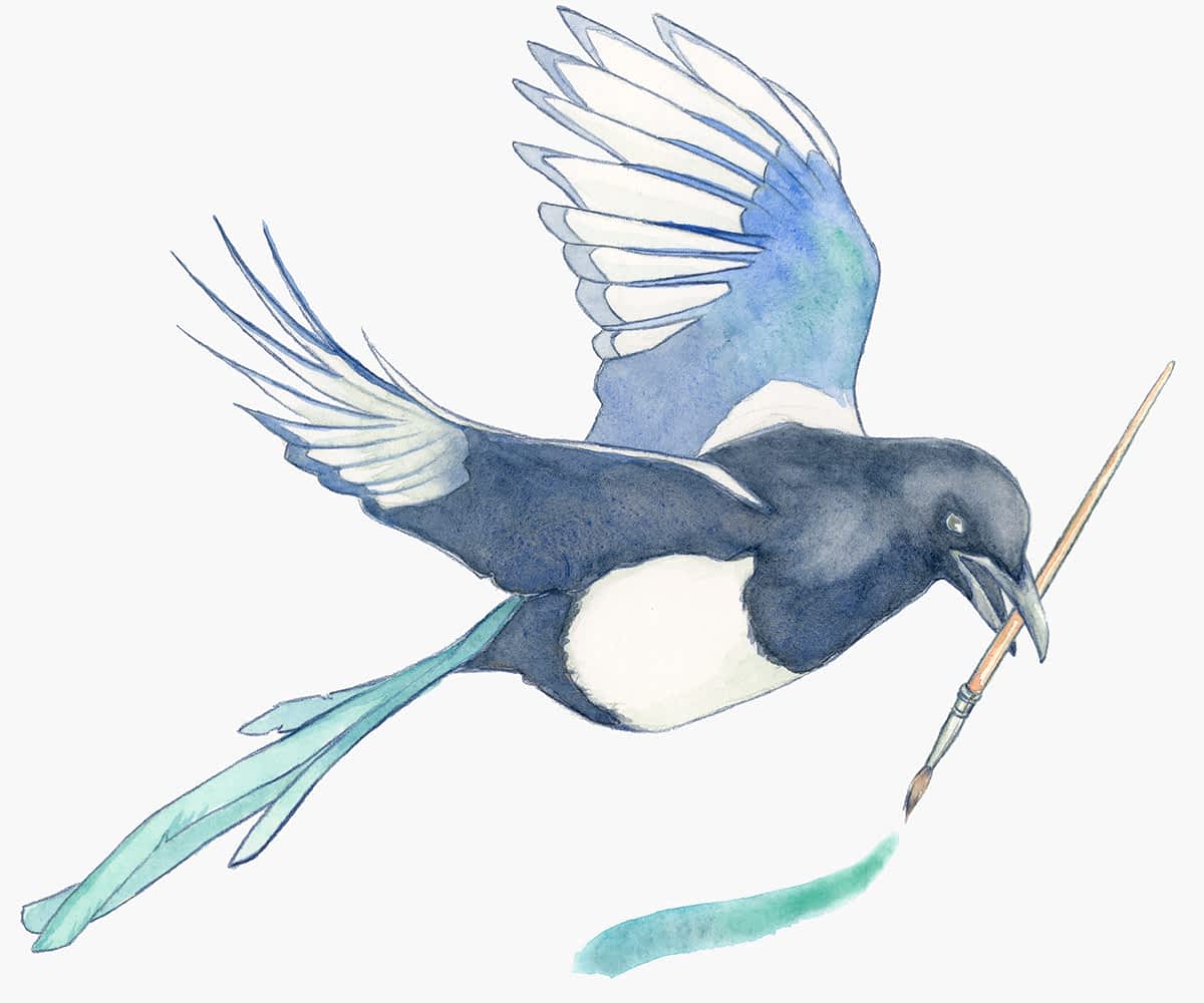 Magpie holding a paint brush