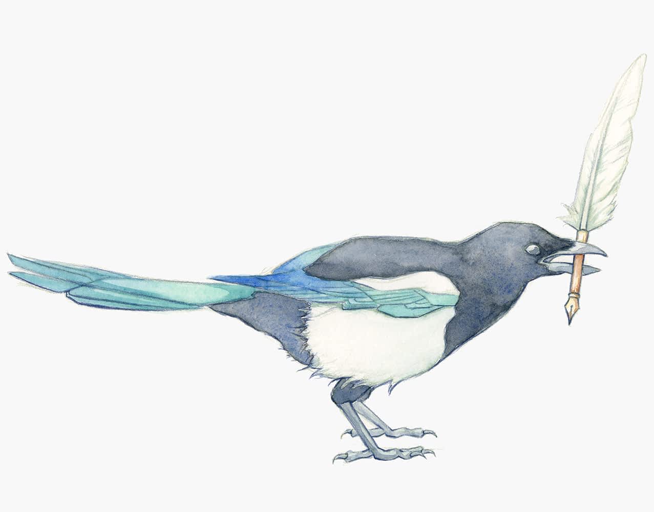 Magpie holding a quill